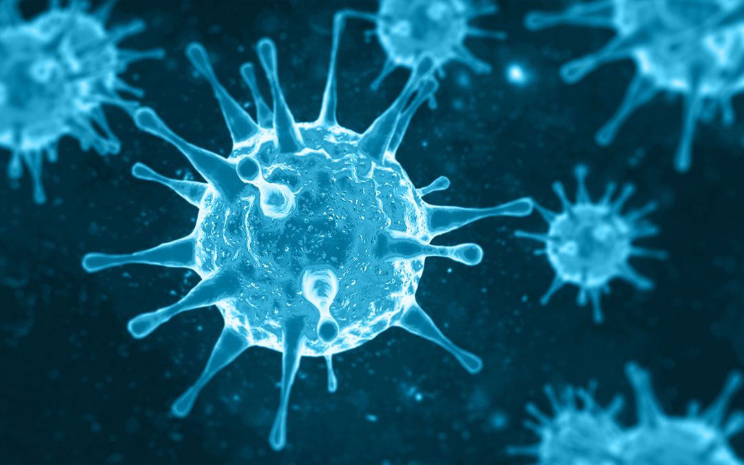 New structural target against COVID-19